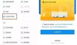 每日爆料郑州最新消息,揭秘今日热点事件与动态概览